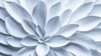 Soft Focus Macro Petal Bloom - Serene, delicate, graceful, ethereal, and tranquil flower petals in soft focus.  A symbol of purity, peace, and beauty.