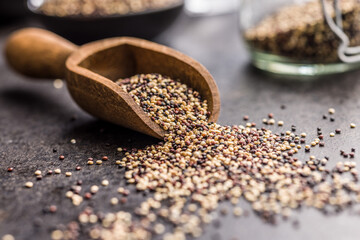 Mixed uncooked quinoa seeds in scoop on black table.