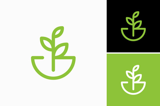 letter g with plant logo design vector