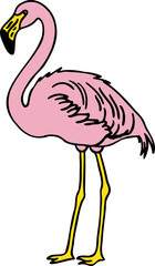 Hand Drawn Standing Flamingo Bird