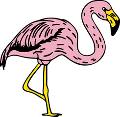 Hand Drawn Standing Flamingo Bird