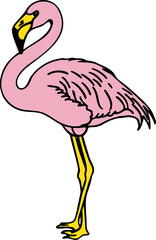 Hand Drawn Standing Flamingo Bird