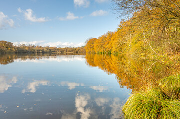 reflet de couleur au bord de l'&eacute;tang