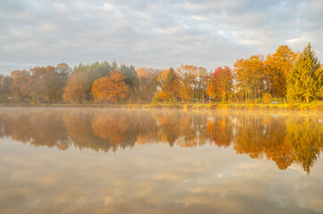 reflet automnal parfait au bord de l'étang