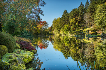 jardin asiatique en automne