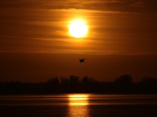 Obraz premium Beautiful Florida Sunrise Sunset 