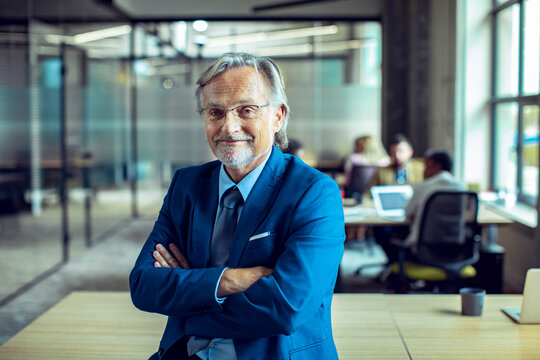 Portrait of a confident mature businessman CEO in modern office