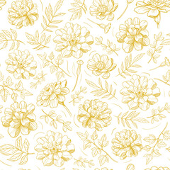 Seamless pattern, illustration mimosa, plant, vector sketches set, hand drawn floral design