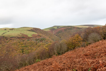 Landscape photo of the autumn colours at Watersmeet valley in Exmoor National Park