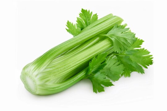 fresh celery leaves and stems isolated on white background. with clapping path full of depth 
