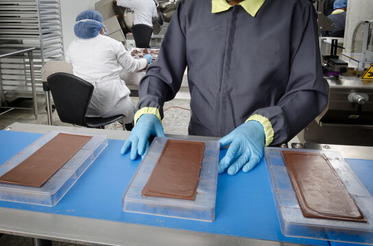 A meticulous chocolate bar production process, highlighting precision and care as workers handle each mold to ensure consistent quality and a premium chocolate experience.