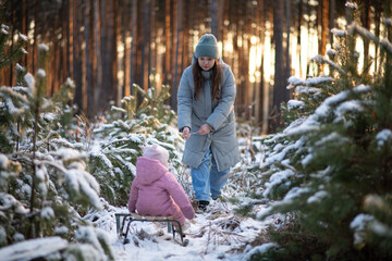 Mother pulling her little daughter on a sled in a snowy forest at sunset.