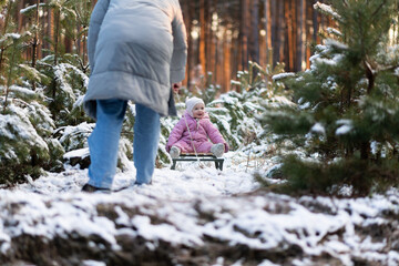 Mother pulling her little daughter on a sled in a snowy forest at sunset.