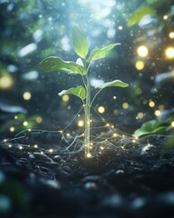 Sprout Growth, Illuminated Soil, Magical Forest, New Life