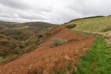 Naklejka premium Landscape photo of the autumn colours at Watersmeet valley in Exmoor National Park