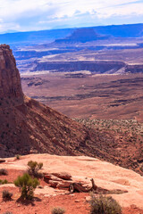 A desert landscape with a mountain in the background