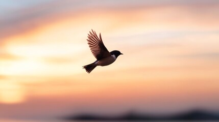 Fototapeta premium A lone bird soars against a vibrant sunset, with wings spread wide, capturing freedom and the beauty of nature in motion.