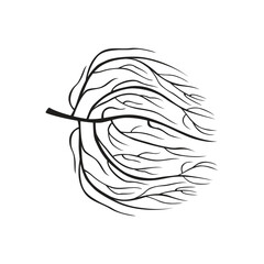Black silhouette of an abstract tumbleweed. Design desert plant. Simple botanical vector illustration.