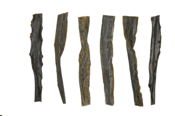 Set dried kombu seaweed, Japanese dry kelp isolated on white background
