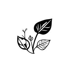Elegant Botanical Leaf Illustration: Black and White Minimalist Plant Design