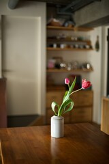 花瓶に生けた2本のチューリップ