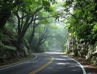 Obraz premium A winding asphalt road winds its way up a rugged mountain trail surrounded by towering trees and lush green vegetation, vegetation, natural, scenic, road