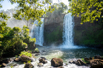 Brasilien, Pflanzen, Tiere, Landschaften, Wasser