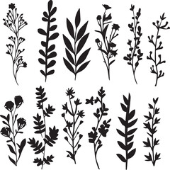 A set of plant silhouettes for flat design. Hand drawn vector illustration