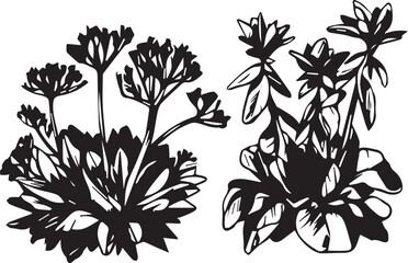 A set of plant silhouettes for flat design. Hand drawn vector illustration