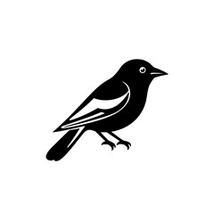Obraz premium Elegant Black and White Bird Silhouette: Nature Wildlife Vector Graphic