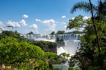 Brasilien, Pflanzen, Tiere, Landschaften, Wasser