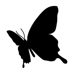 斜め下から見た蝶のシルエットイラスト