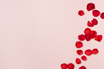 Rose petals on a pink background. Flat lay, top view. Copy space