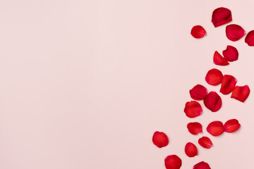 Rose petals on a pink background. Flat lay, top view. Copy space