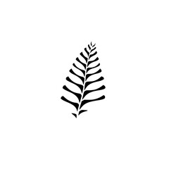 Monochrome Fern Leaf: Minimalist Botanical Illustration, Nature-Inspired Graphic Design, Simple Elegant Vector Art, Black and White Plant Silhouette