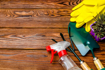 Garden tools on the background of a brown wooden table
