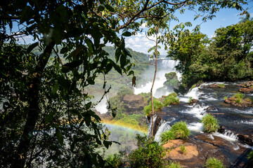 Brasilien, Pflanzen, Tiere, Landschaften, Wasser