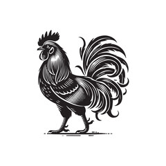 Black Color Bantam Chicken silhouette design Vector Illustration, Solid White Background (6).eps