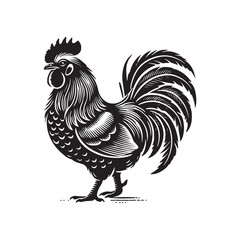Black Color Bantam Chicken silhouette design Vector Illustration, Solid White Background (7).eps