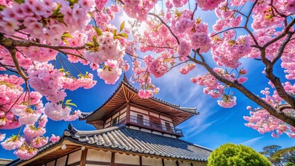 Stunning Cherry Blossom Tree in Japan, Beautiful Spring Scenery, Blue Sky, Botanical Wallpaper