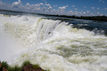 Brasilien, Pflanzen, Tiere, Landschaften, Wasser
