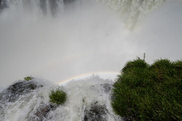 Brasilien, Pflanzen, Tiere, Landschaften, Wasser
