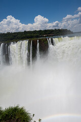 Brasilien, Pflanzen, Tiere, Landschaften, Wasser
