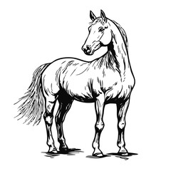 Hand-Drawn Standing Horse Icon - Elegant Equestrian Sketch Illustration