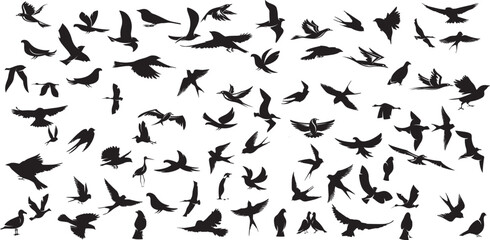 bird silhouette vector illustration, perfect for logo design, art projects, and graphic design.