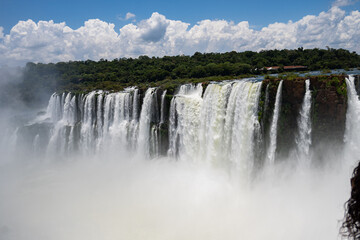 Brasilien, Pflanzen, Tiere, Landschaften, Wasser

