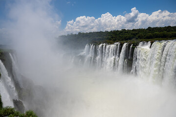 Brasilien, Pflanzen, Tiere, Landschaften, Wasser
