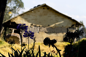 Casa de Barro en el campo 