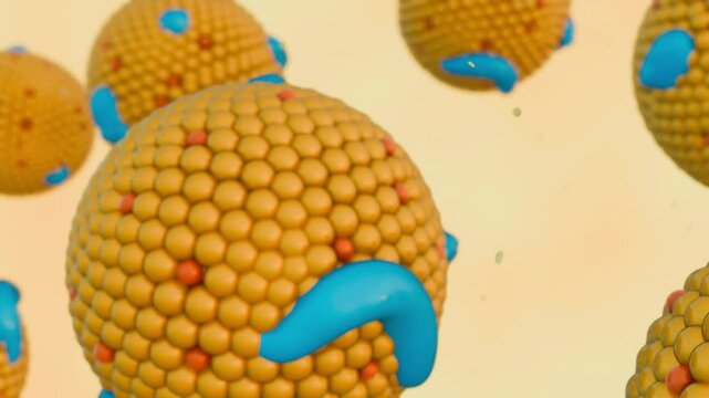 3d rendering of chylomicron particles. They are large lipoprotein particles that play a crucial role in the absorption and transport of dietary fats