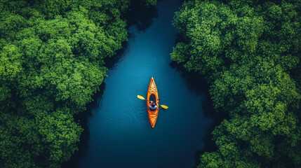 Kayaking through Lush Mangrove Forest